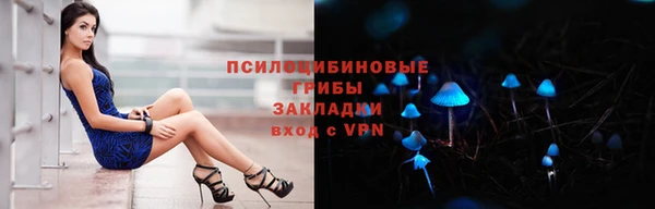 a pvp Магас