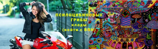 дмт Майский