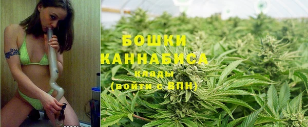 a pvp Магас