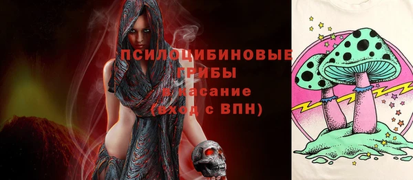 дмт Майский