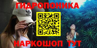 mdpv Новодвинск