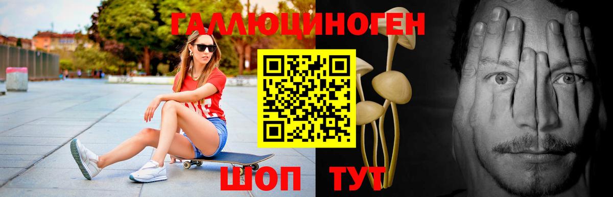 сколько стоит  Вход с VPN  Псилоцибиновые грибы GOLDEN TEACHER  Тихвин  Галлюциногенные грибы мицелий 