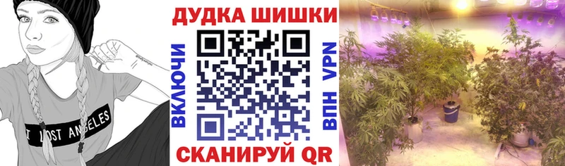 Бошки марихуана конопля  продажа наркотиков  Тихвин 